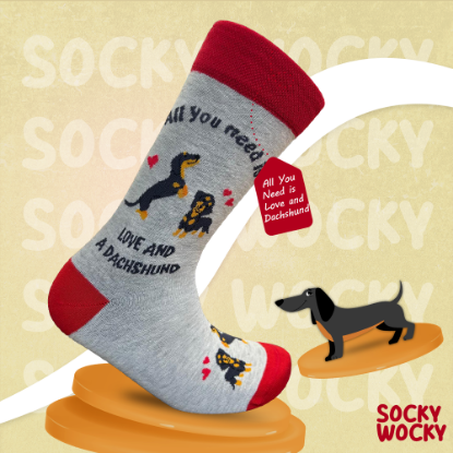 Bild von All You Need is Love And a Dachshund