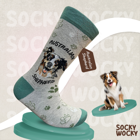 Bild von Australian Shepherd