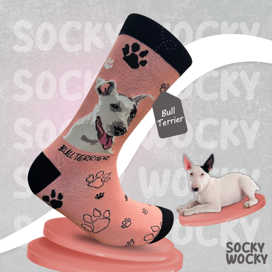 Bild von Bull Terrier