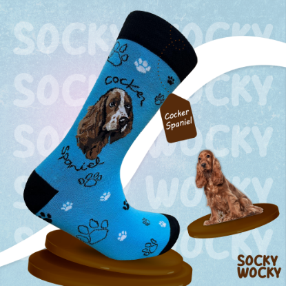 Bild von Cocker Spaniel