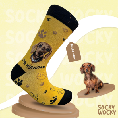 Bild von Dachshund Yellow