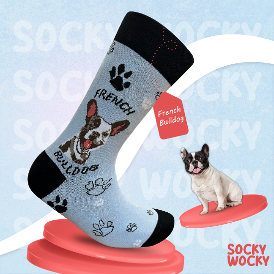 Bild von French Bulldog