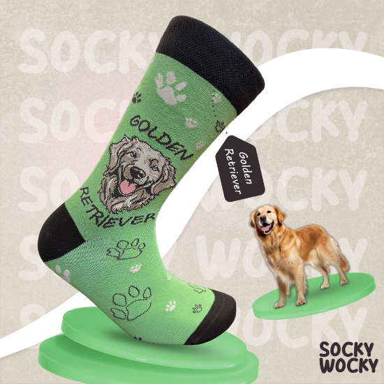 Bild von Golden Retriever