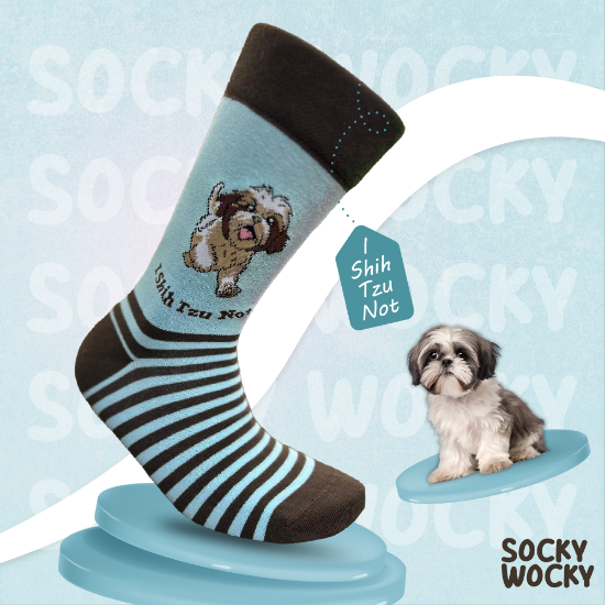 Bild von I Shih Tzu Not