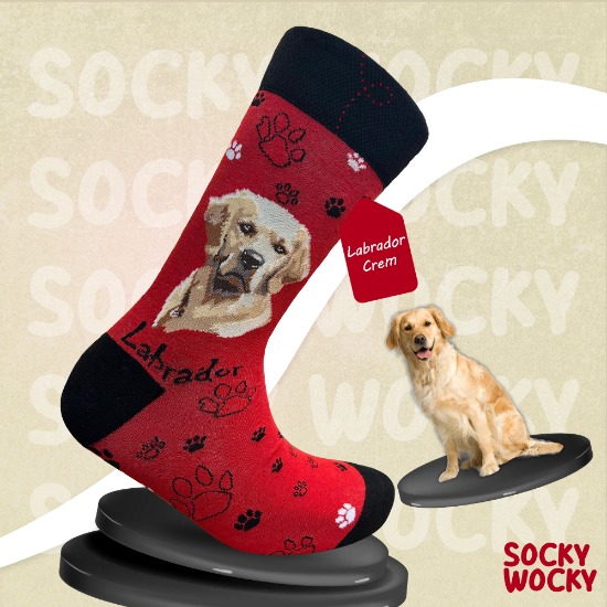 Bild von Labrador Crem