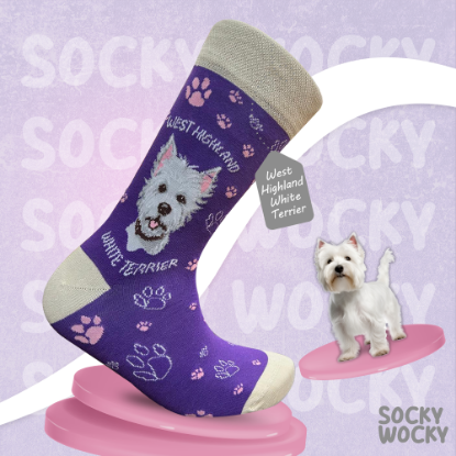 Bild von West Highland Terrier