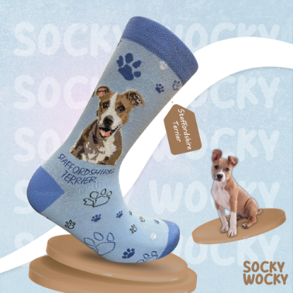 Bild von Staffordsshire Terrier