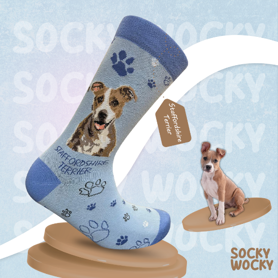 Bild von Staffordsshire Terrier