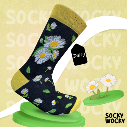 Bild von Daisy Flower