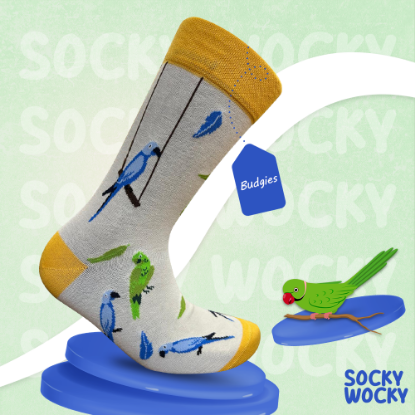 Bild von Bird / Budgies