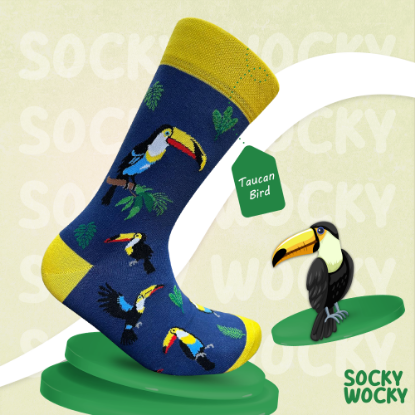 Bild von Taucan Bird