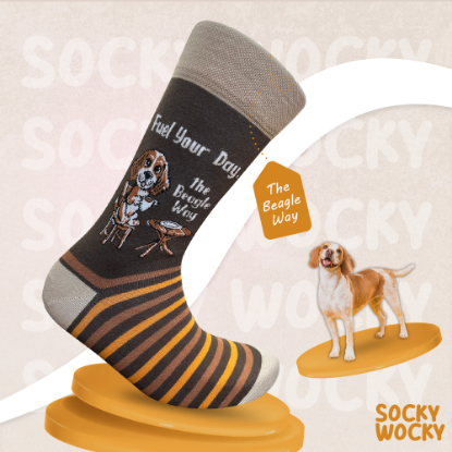 Bild von The Beagle Way