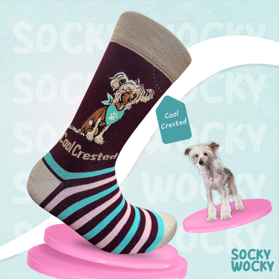 Bild von Cool Crested