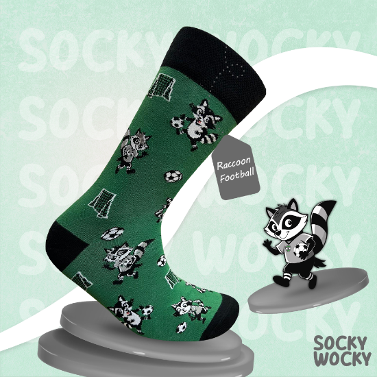 Bild von Raccoon Football