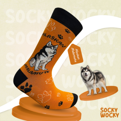 Bild von Alaskan Malamute